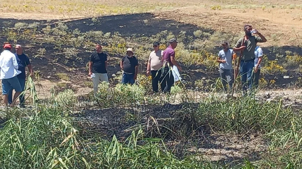 Tunceli’nin Pertek ilçesinde ekili alanda yangın belediye ekipleri tarafından söndürüldü
