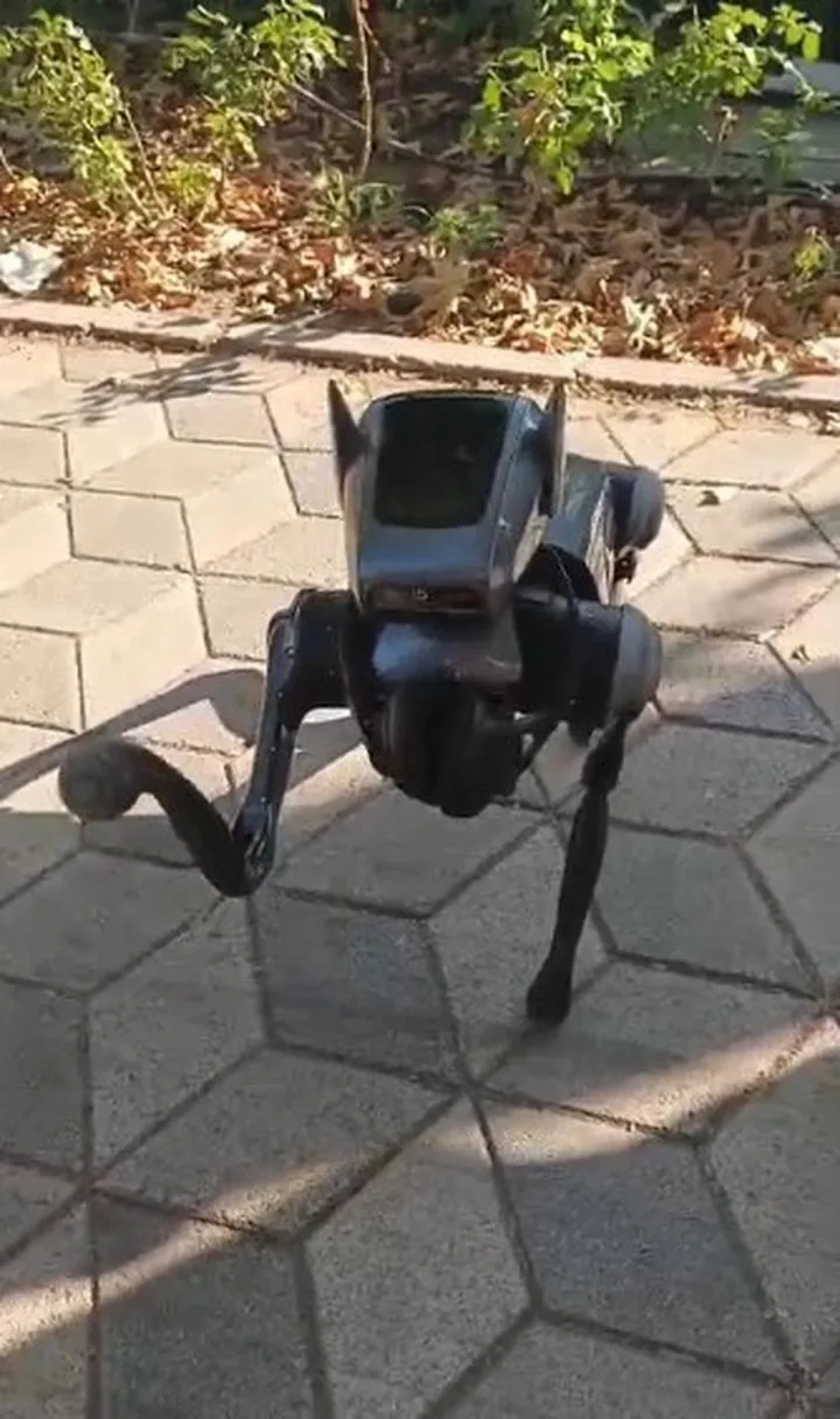 Eskişehir’de robot köpek vatandaşların ilgisini çekti