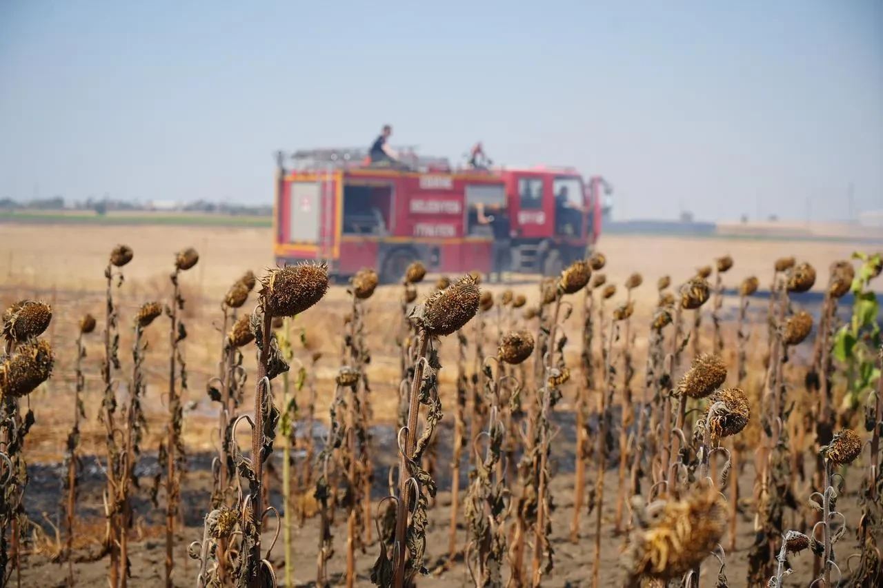 Edirne'de Çıkan Anız Yangını İtfaiye Müdahalesiyle Kontrol Altına Alındı