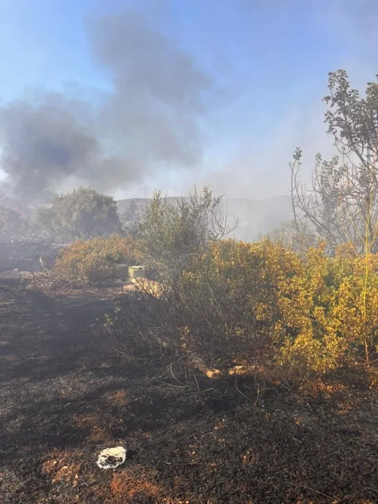 Didim'de makilik ve zeytinlik alanında çıkan yangın kontrol altına alındı