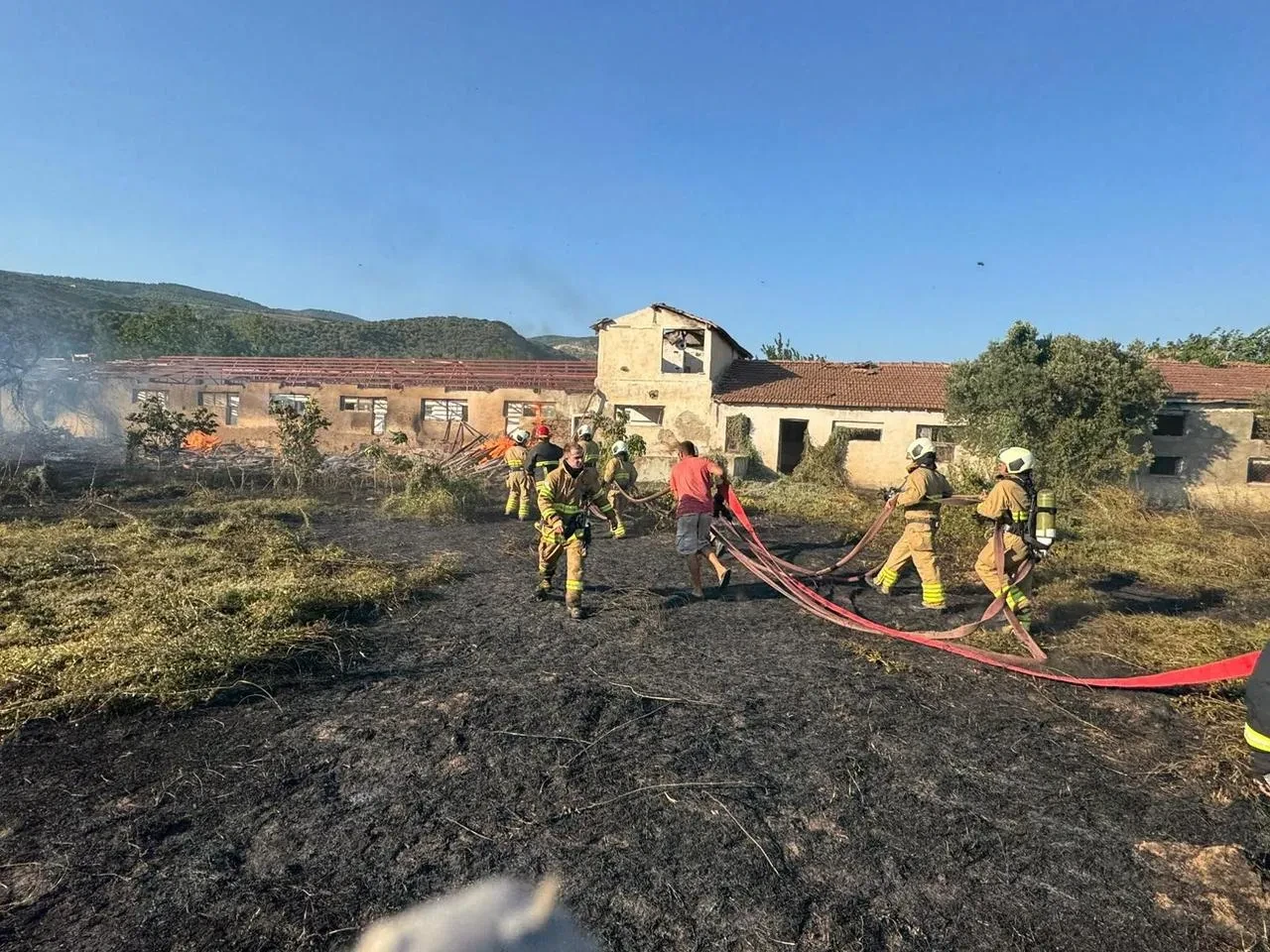 Erdek'te elektrik tellerinden çıkan yangın zeytinliklere sıçradı