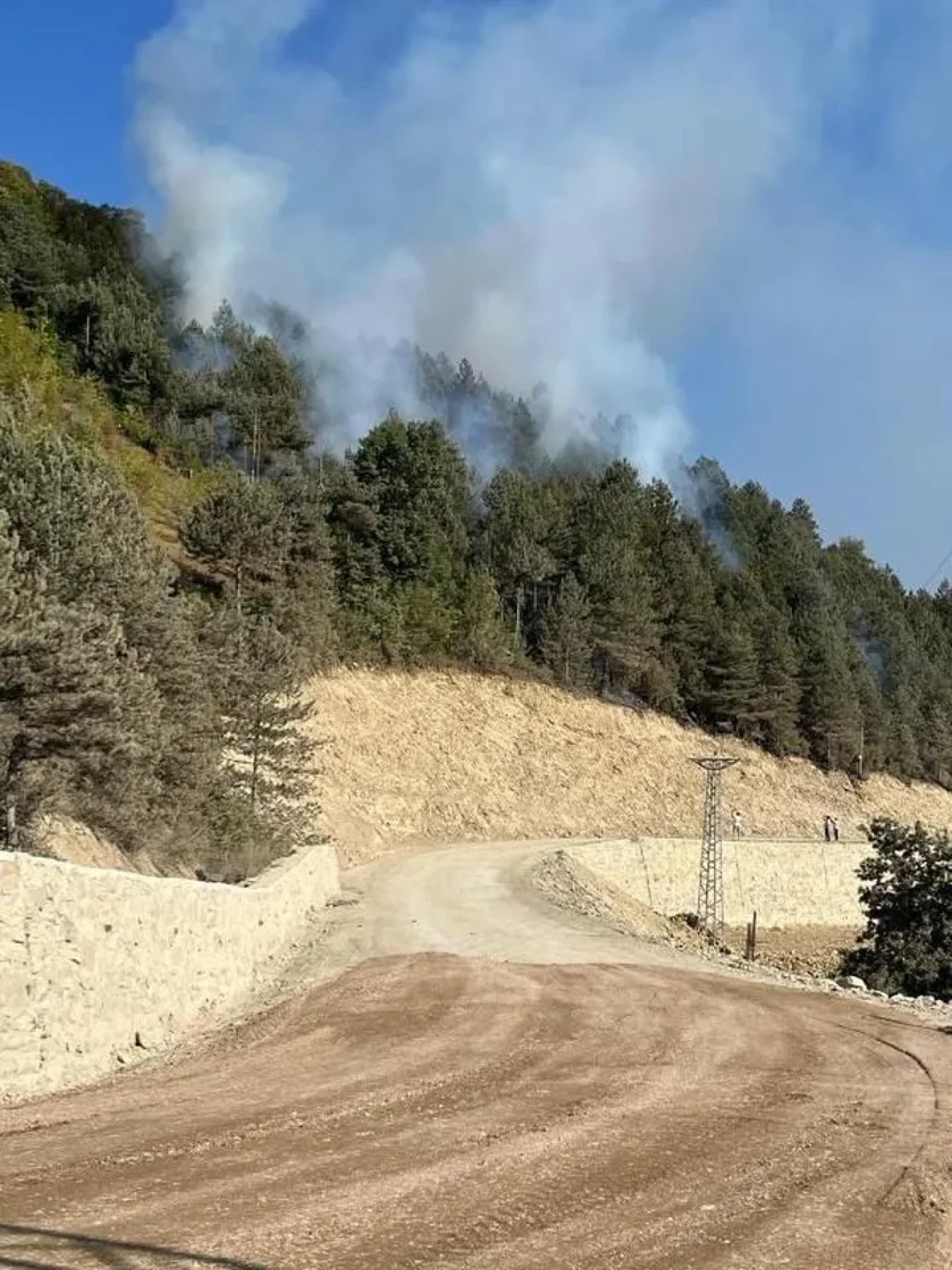 Türkeli ormanlık alanda çıkan örtü yangınına ekipler müdahale ediyor