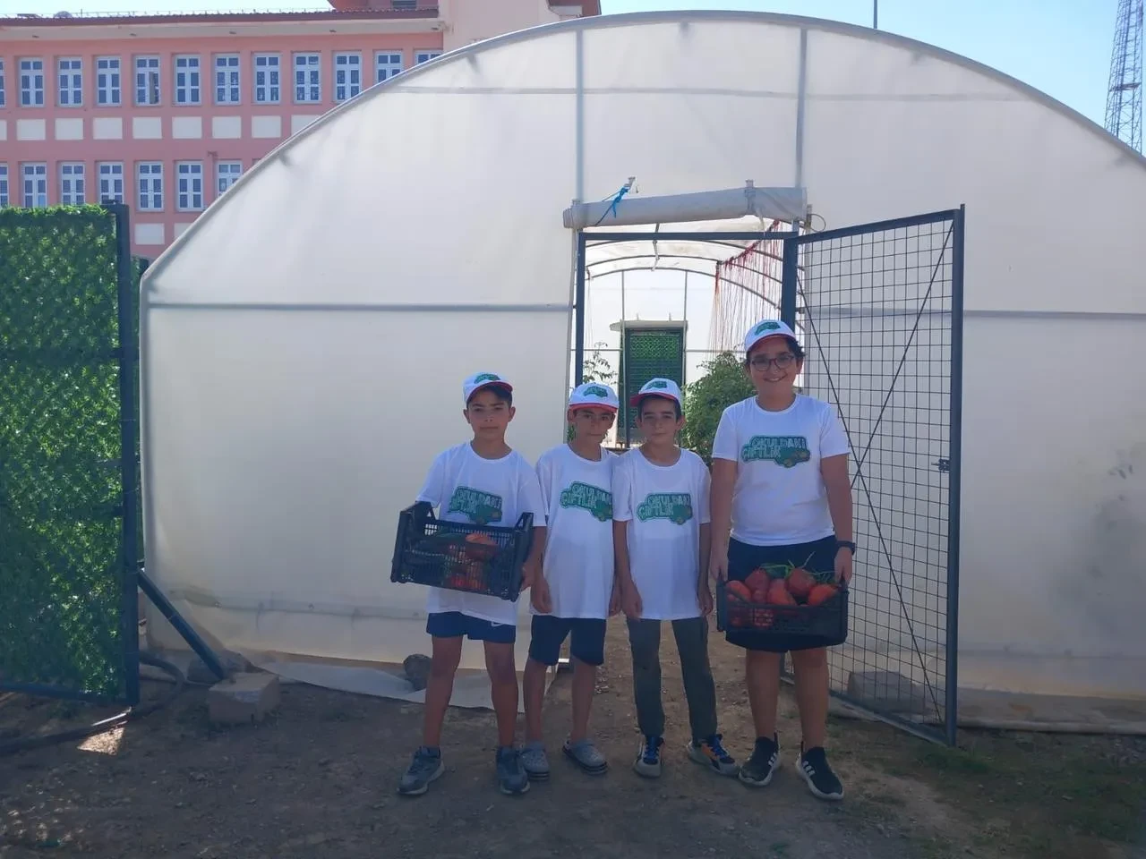 Erzincan’da Demirkent TOKİ Ortaokulu öğrencileri serada sebze yetiştiriyor