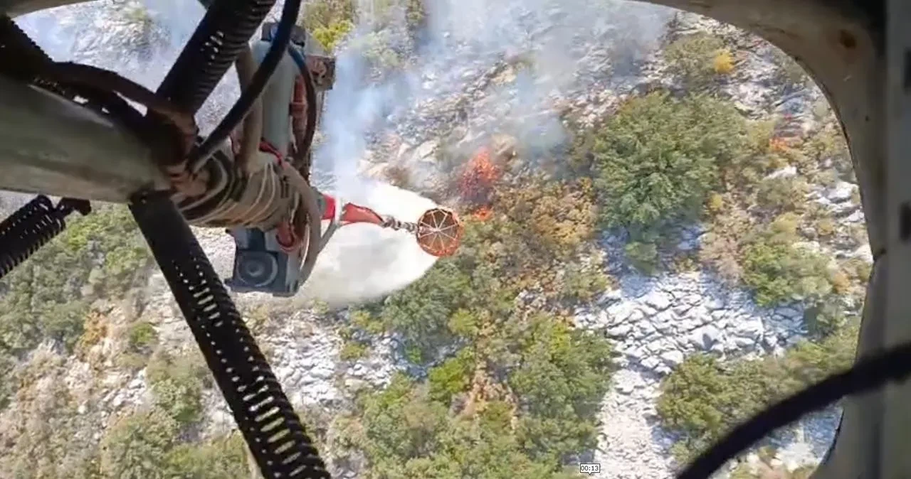 Muğla'nın Seydikemer ilçesinde makilik alanda çıkan yangın ormana sıçradı