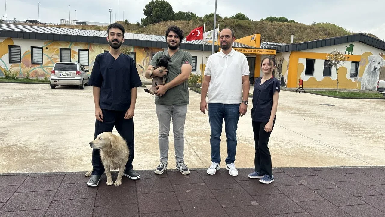 Zift Adlı Yavru Köpek Çayırova Rehabilitasyon Merkezinde Tedavi Edildi