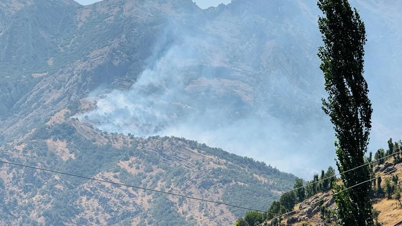 Şırnak Beytüşşebap Orman Yangını 9 Saatte Kontrol Altına Alındı