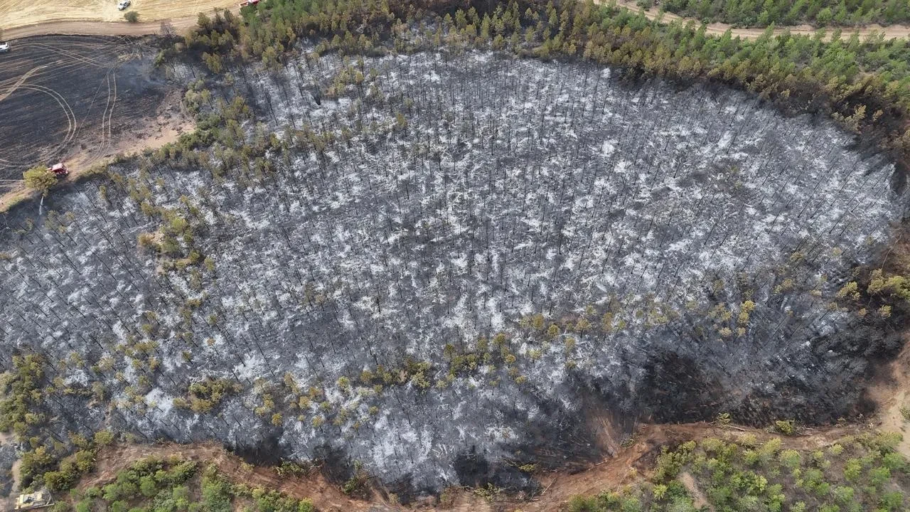 Banaz İlçesinde Orman Yangını İtfaiye Ekipleri Tarafından Söndürüldü