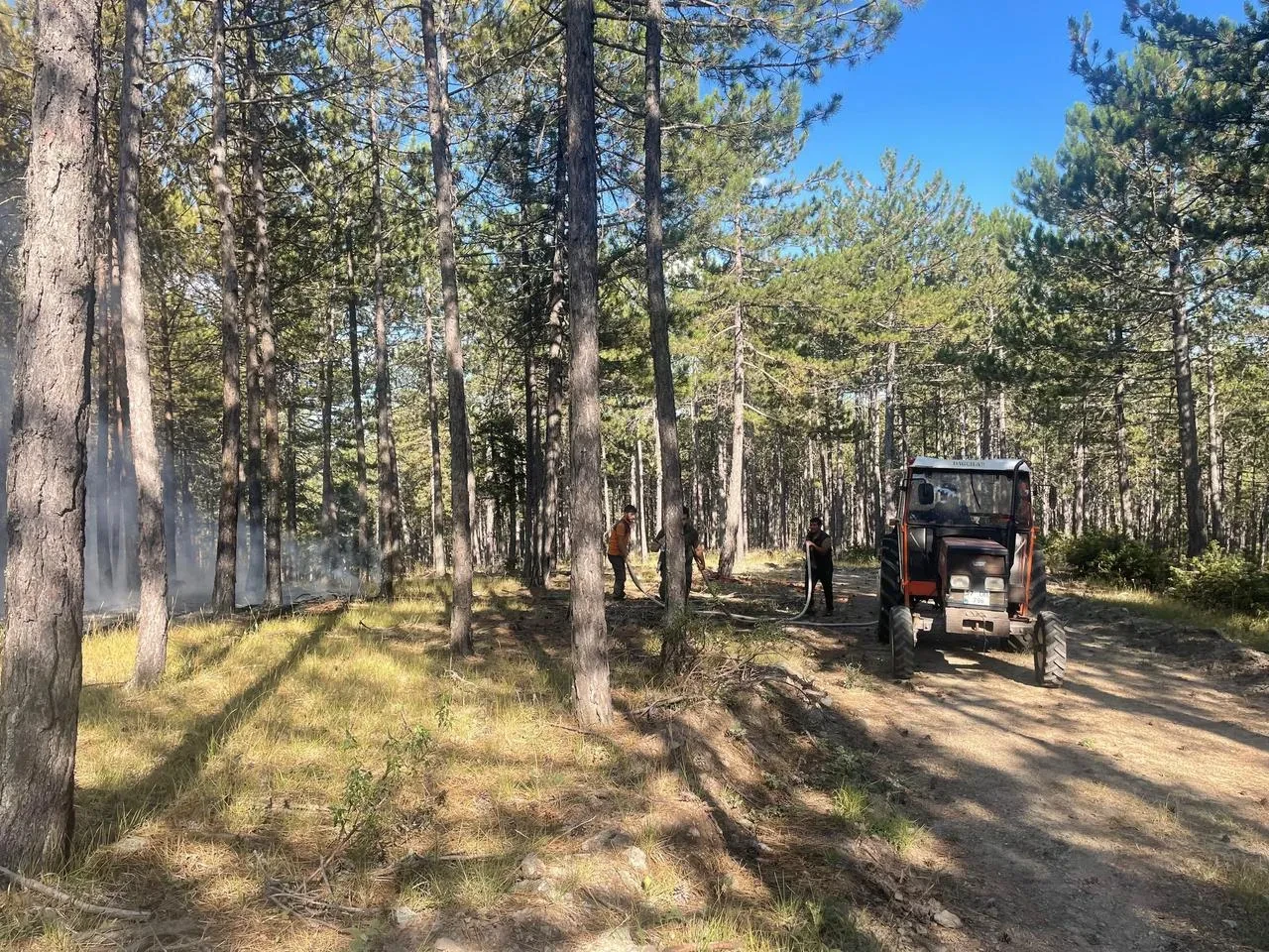 Hanönü'de çıkan orman yangını ekipler tarafından söndürüldü