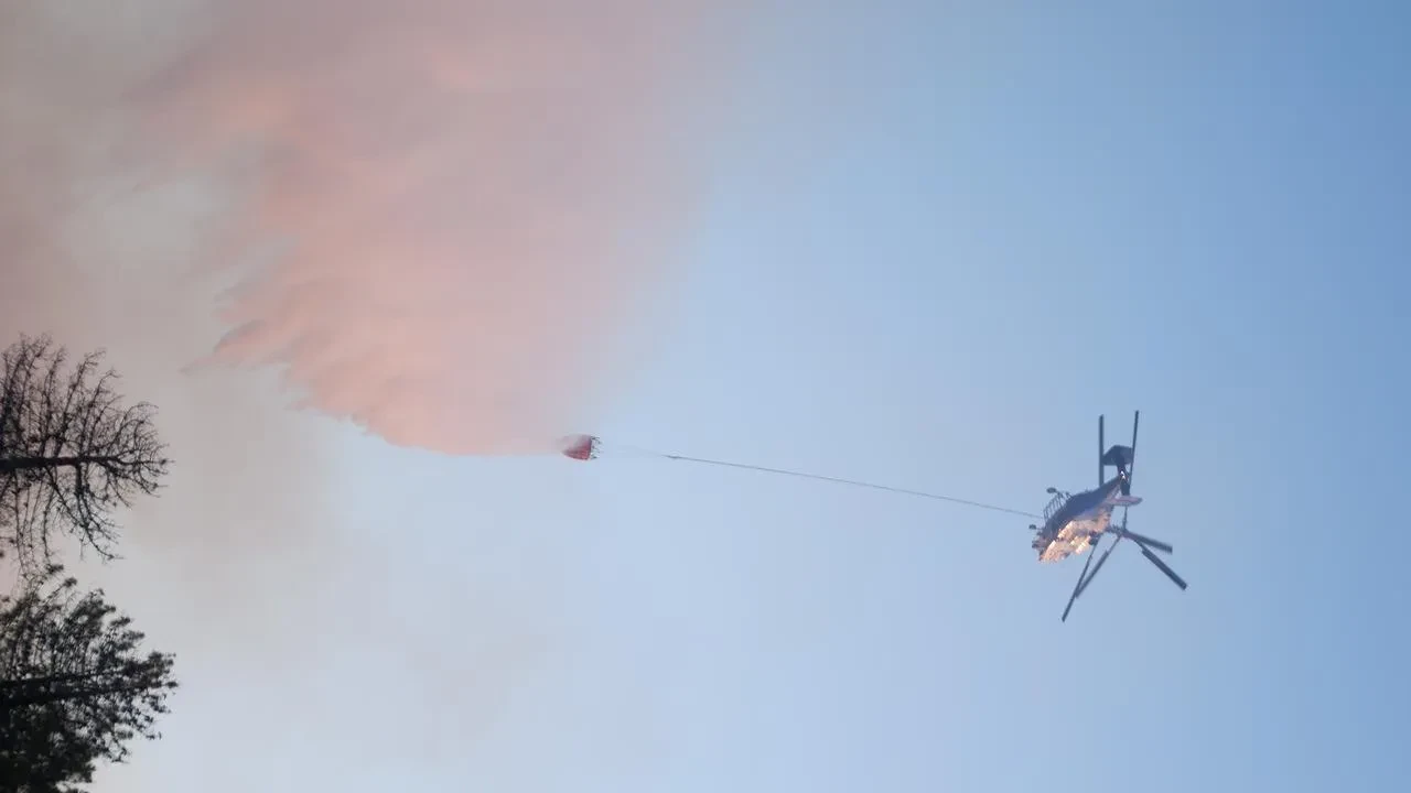 Edirne'de Enez ilçesinde orman yangınına havadan müdahale başladı