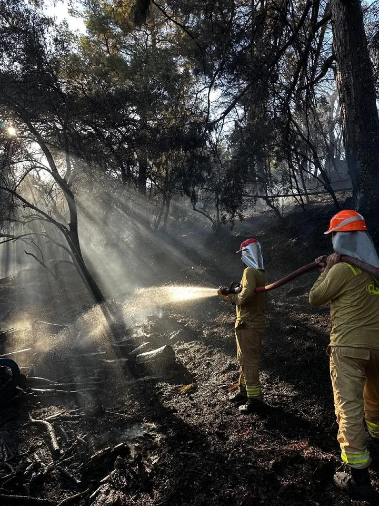 Seydikemer’de Orman Yangını Hızlı Müdahale İle Söndürüldü