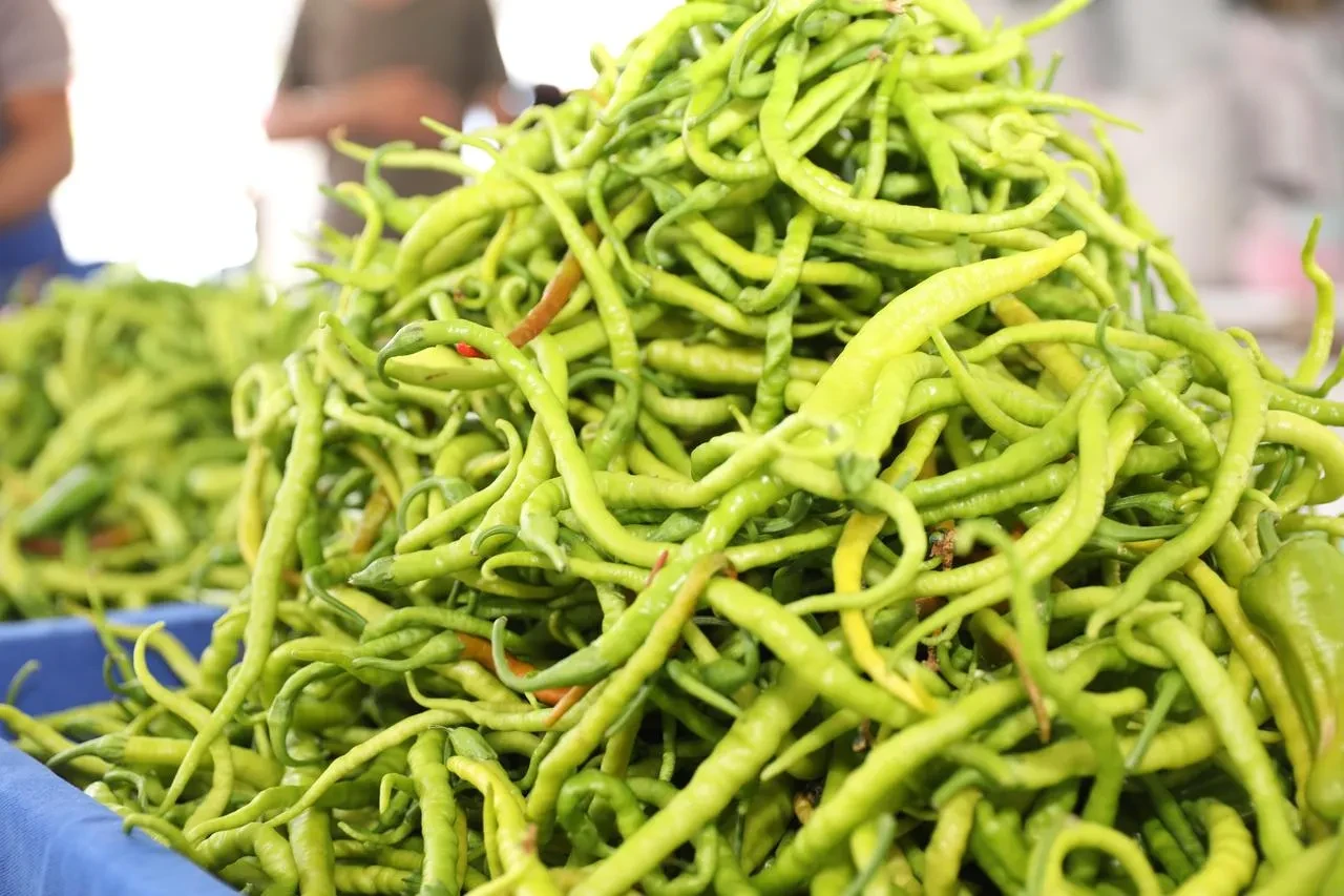 Kayseri'de yüzde 100 ekolojik pazar büyük ilgi gördü