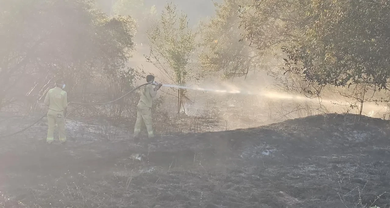 Kastamonu Şenpazar’da ikinci orman yangınında 5 samanlık küle döndü