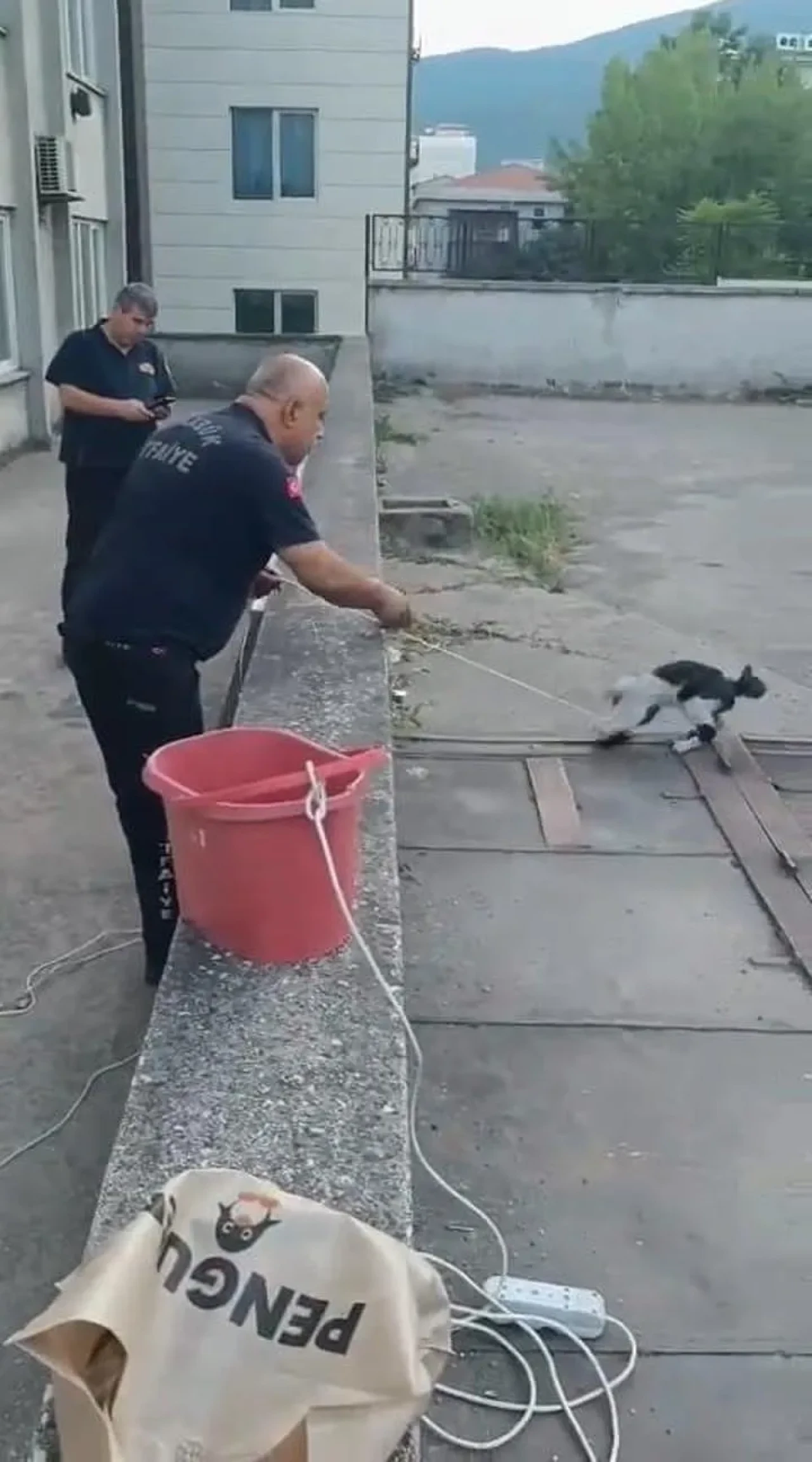 Karabük'te havalandırma boşluğuna düşen kedi itfaiye ekipleri tarafından kurtarıldı