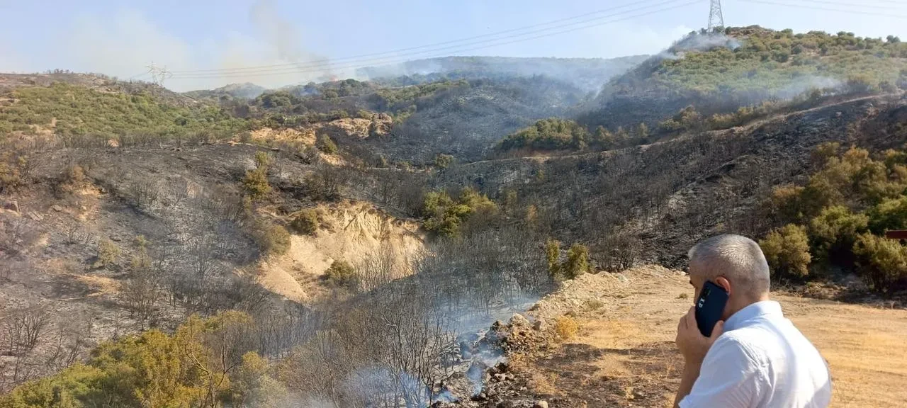 İzmir’deki Orman Yangınları Menderes Ve Aliağa’da Kontrol Altına Alındı