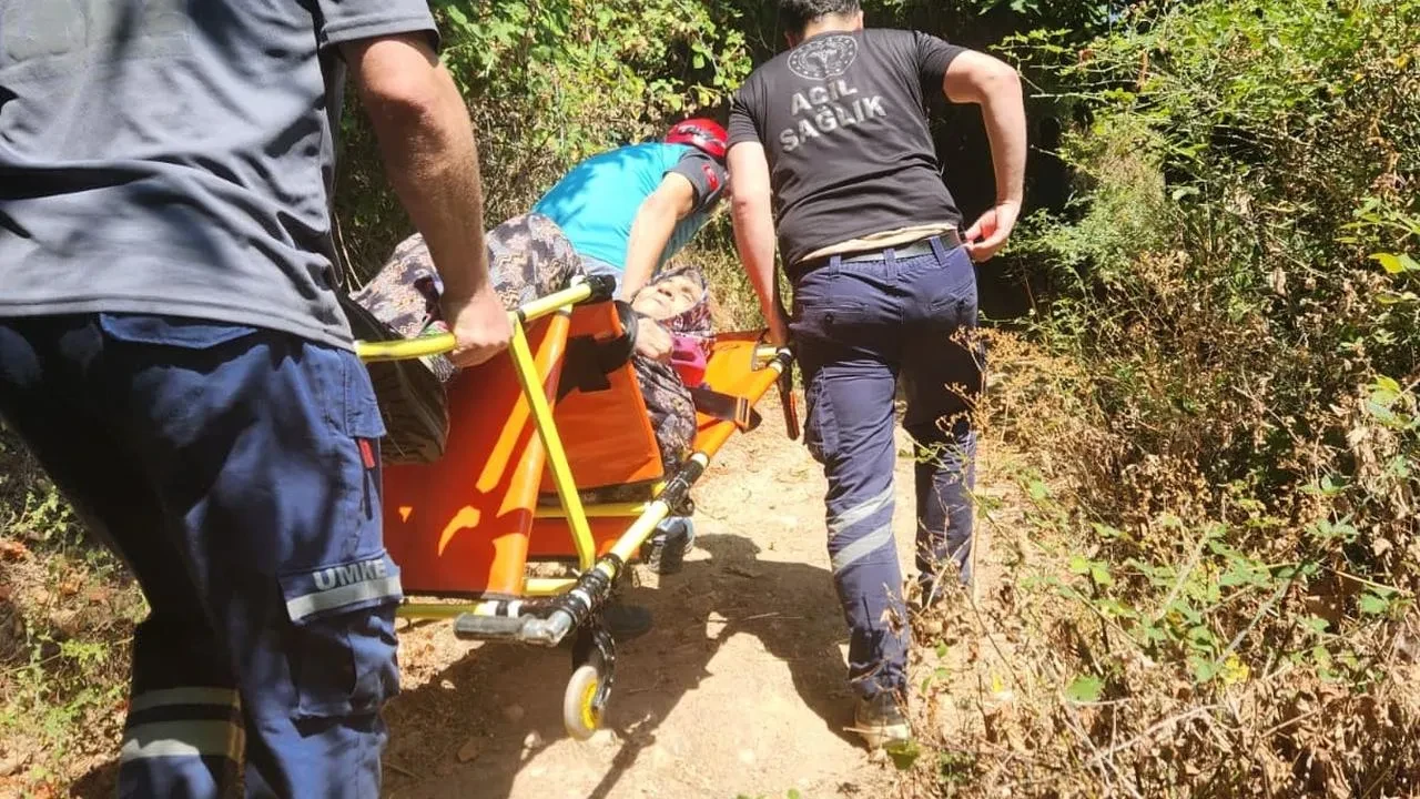 Asiye Yurt AFAD ve UMKE Ekipleri Tarafından Kurtarıldı