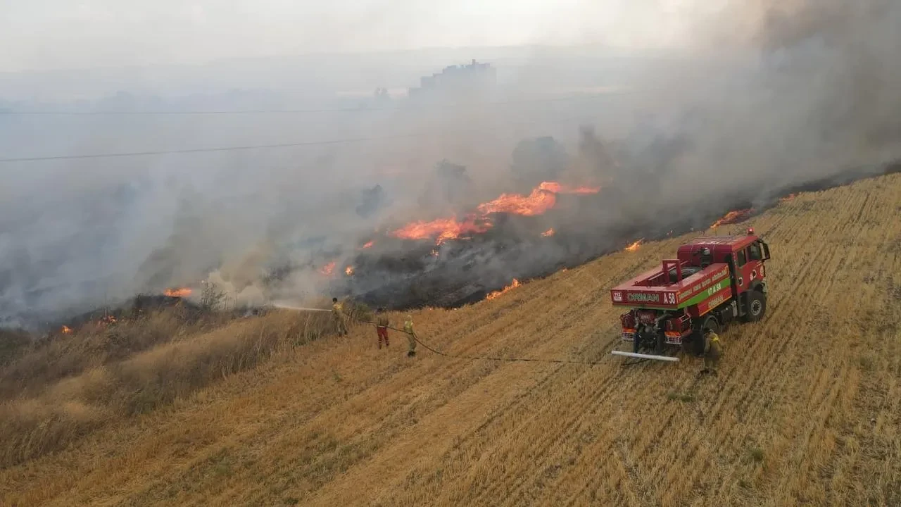 Orman Genel Müdürü Bekir Karacabey yangınların yüzde 57'sinin orman dışında başladığını
