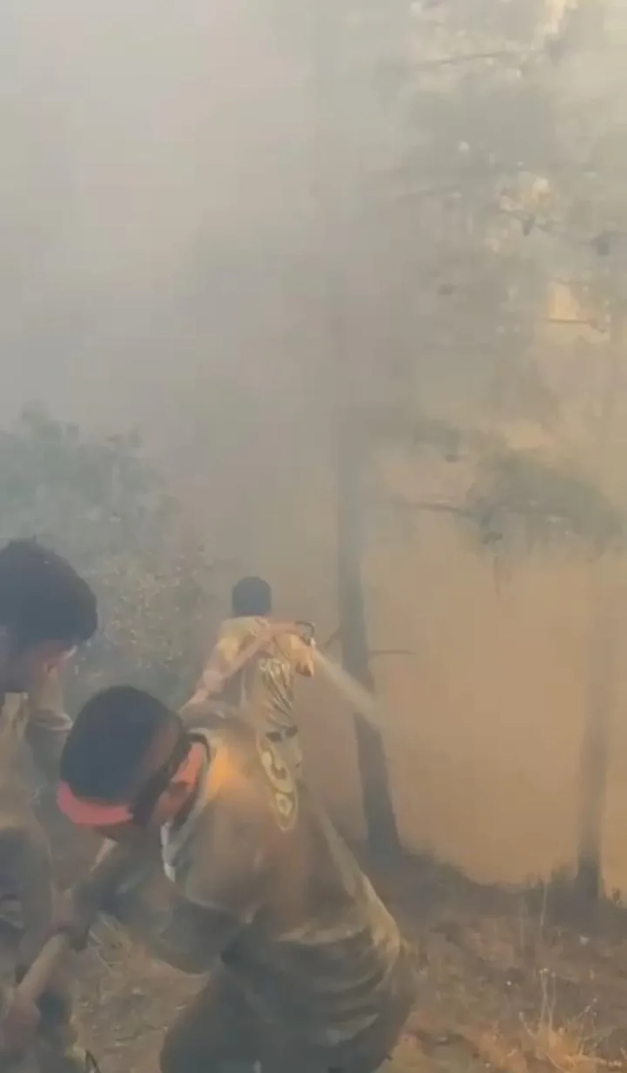 Çanakkale'nin Gelibolu ilçesinde orman yangınına havadan ve karadan müdahale ediliyor