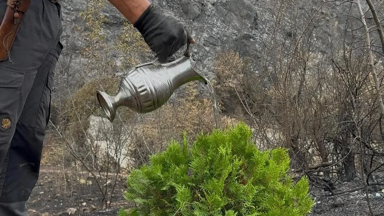 Süleyman Ateştepe Bursa’da yangın sonrası ilk fidanı dikti