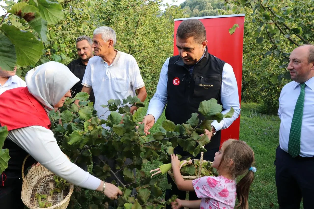 Vali Selçuk Aslan Düzce'de fındık hasat sezonunu horon oynayarak açtı