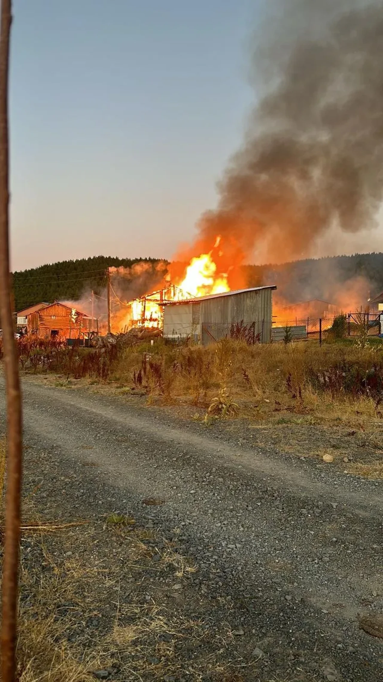 Bolu’da Seben İlçesindeki Solaklar Yaylası'nda İki Yayla Evi Yangında Küle Döndü