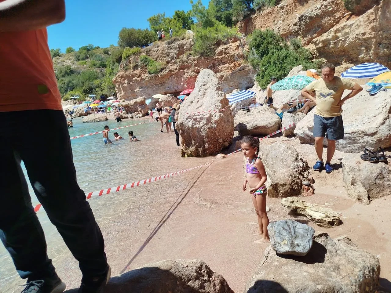 Datça’da Akdeniz Foku Sahile Çıktı Ve Koruma Altına Alındı