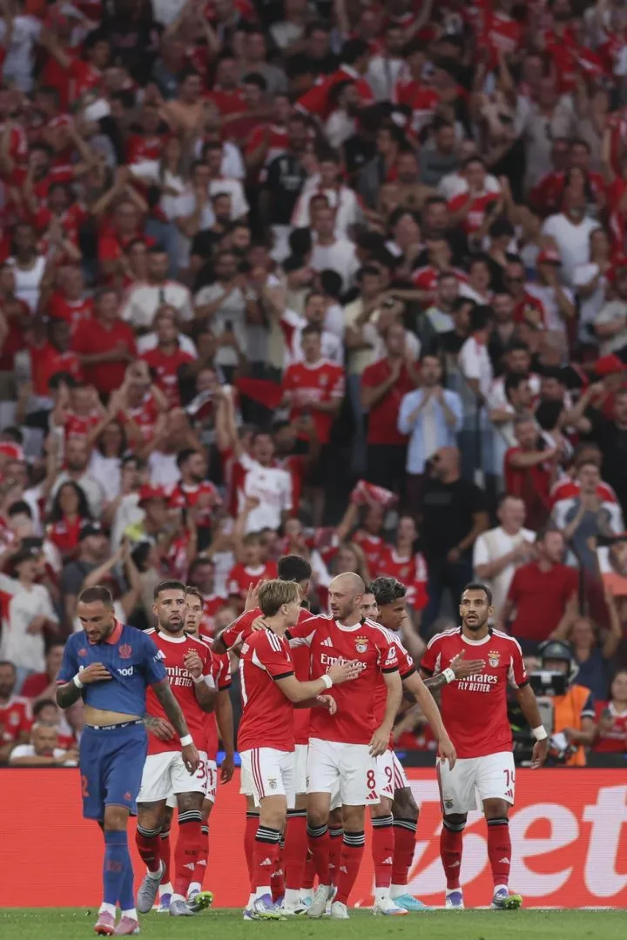 Fenerbahçe Şampiyonlar Ligi Play-off Turunda Benfica İle Eşleşti