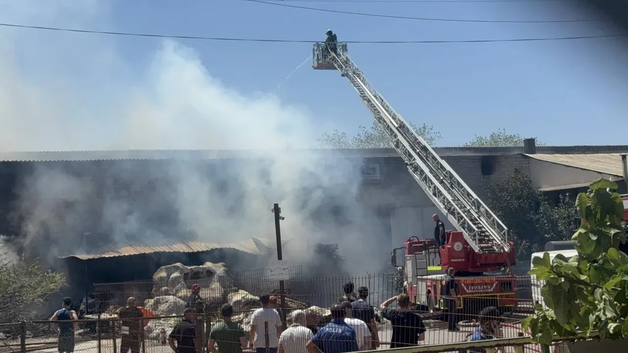 Kocaeli Darıca'da fabrika yangını üç işletmeye hasar verdi