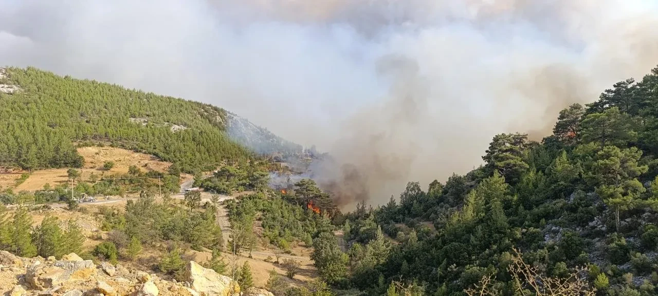 Mersin Silifke'deki orman yangınına 5 ilden takviye ekipler müdahale ediyor