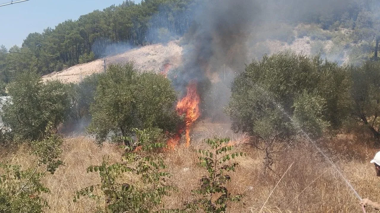 Kumluca’da zeytin bahçesinde yangın çıktı itfaiye ekipleri müdahale etti