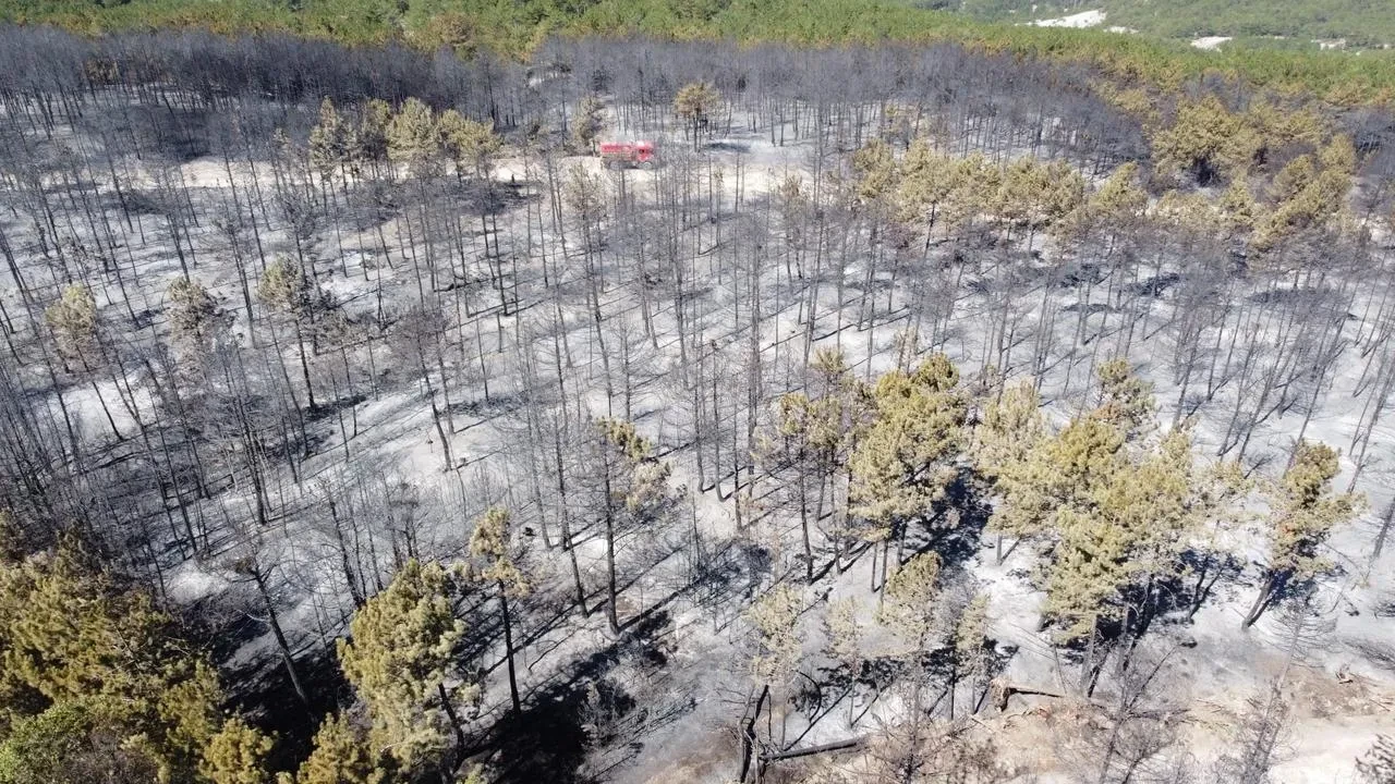 Bolu’daki Orman Yangını Havadan Ve Karadan Müdahaleyle Kontrol Altına Alındı