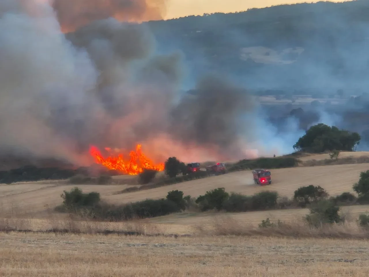 Balıkesir susurluk'ta orman yangınına havadan ve karadan müdahale ediliyor