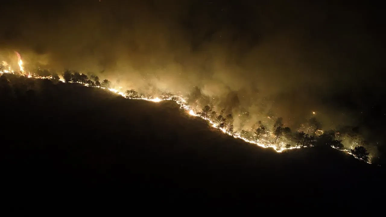 Edirne'nin Enez ilçesinde orman yangını köyleri tahliye ettirdi