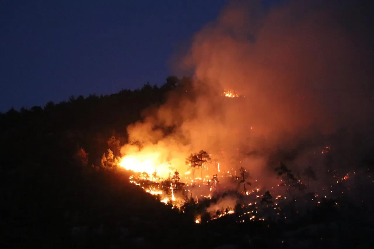 Denizli'de Honaz Dağı'nda çıkan yangına gece karadan müdahale devam ediyor