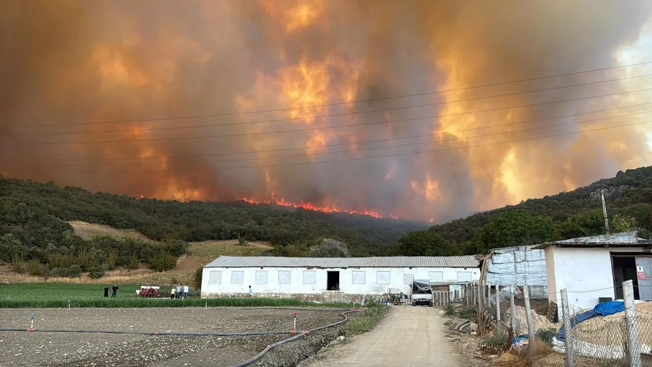 Bursa'da orman yangını tavuk çiftliklerine ve Bursa-Bilecik yoluna yaklaştı