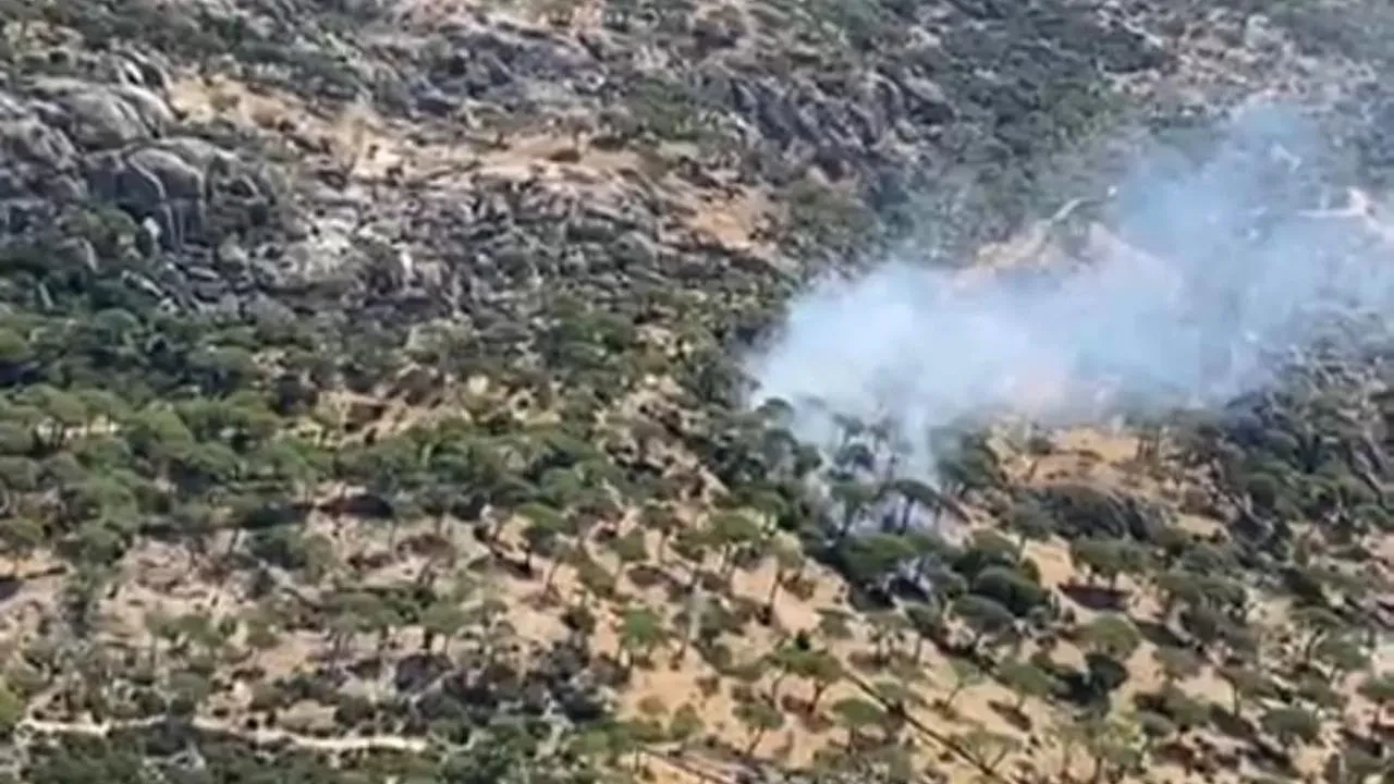 Söke'nin Latmos Dağları'nda çıkan yangına karadan ve havadan müdahale ediliyor