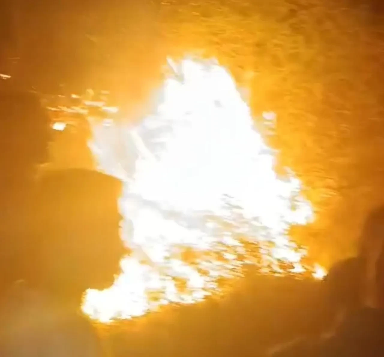 Arnavutköy’de Ormanlık Alanda Çıkan Yangın Hızla Kontrol Altına Alındı