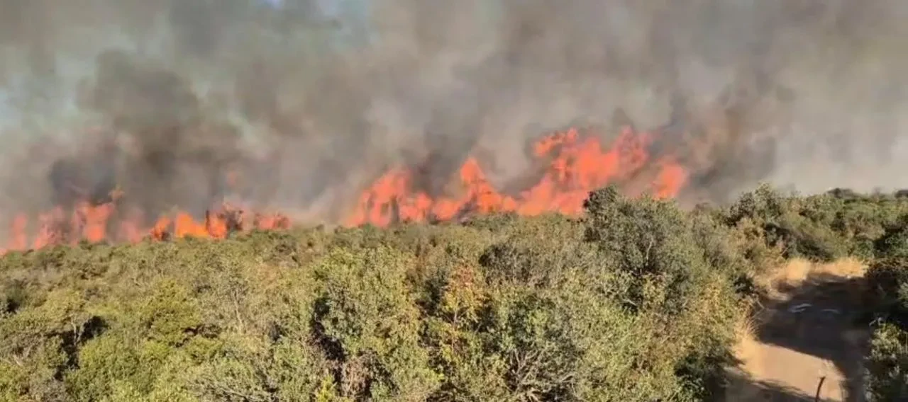 Balıkesir Susurluk’ta Orman Yangınına Ekipler Müdahale Ediyor