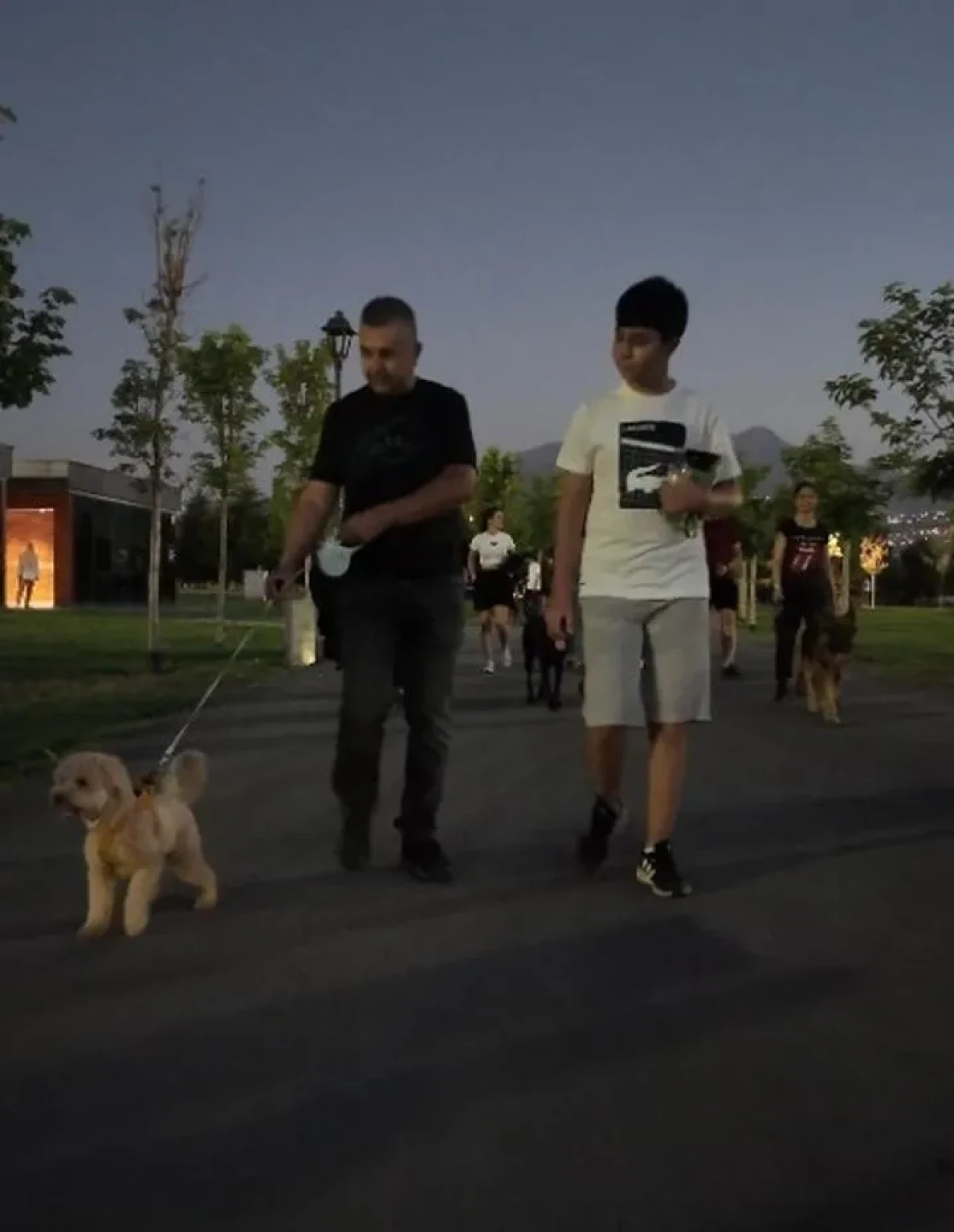 Kayseri'deki Proteo Köpek Eğitim Parkuru köpek sahiplerinden tam not aldı