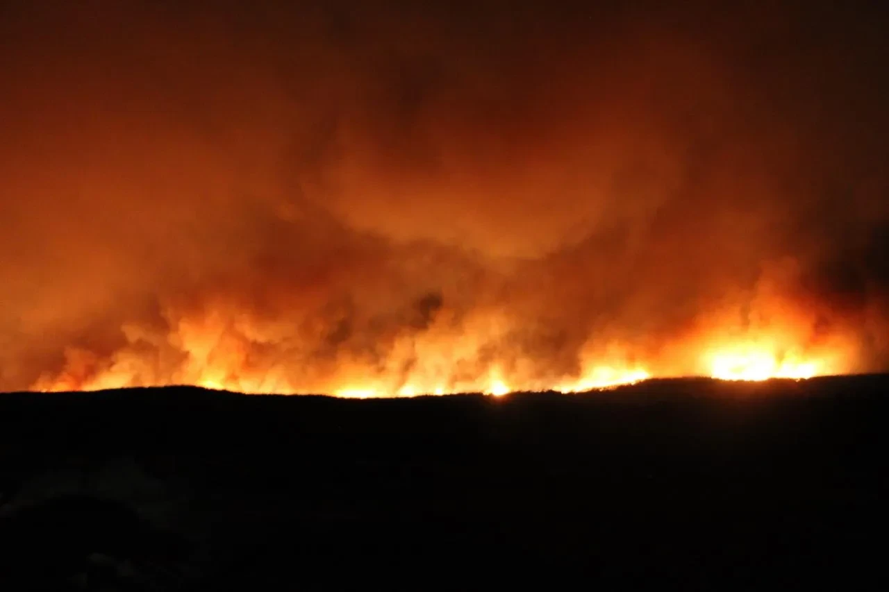 Gelibolu'da orman yangınına müdahale sürüyor 251 kişi tahliye edildi