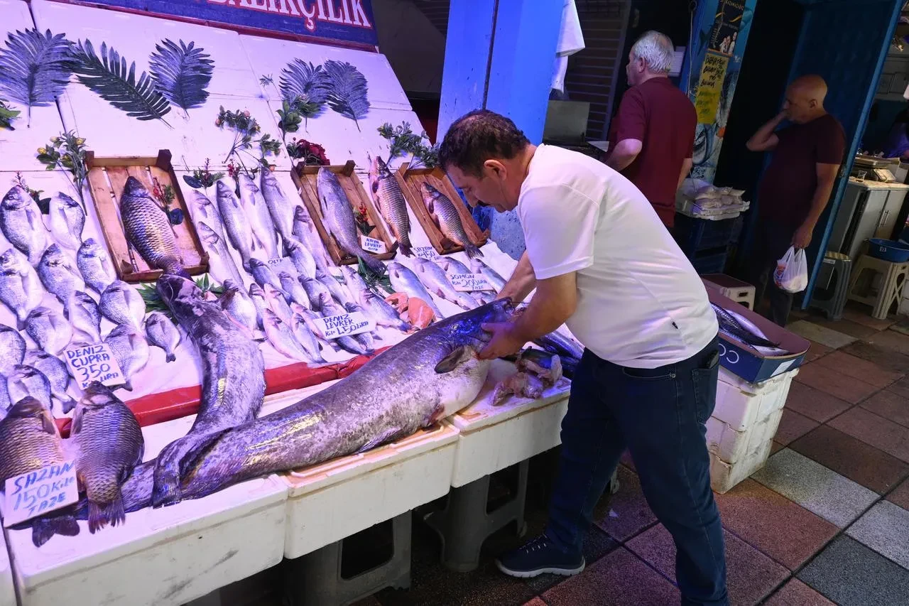 Eskişehir'de sergilenen 40 kiloluk yayın balığı vatandaşları şaşırttı