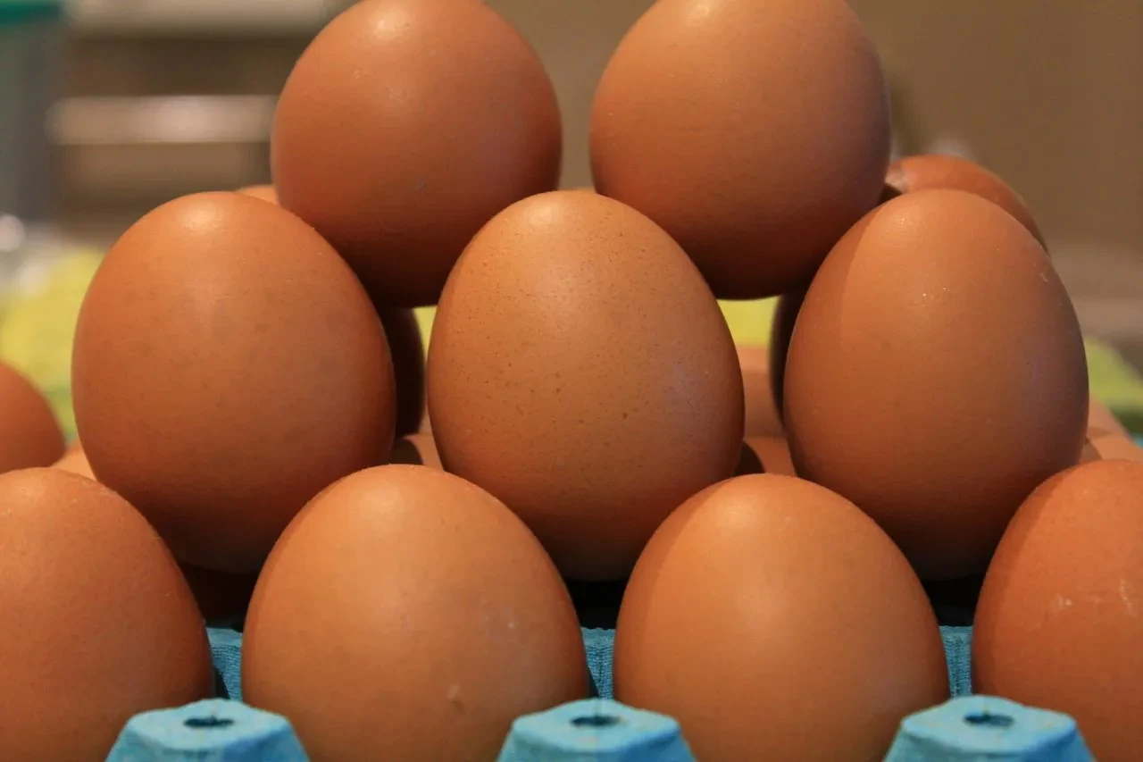Okulların açılması yumurta fiyatlarını Mayıs çukuru`ndan çıkartıyor