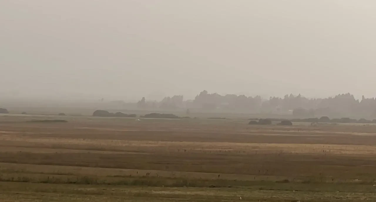 Irak ve Suriye'den gelen toz bulutu Yüksekova'da hayatı olumsuz etkiledi