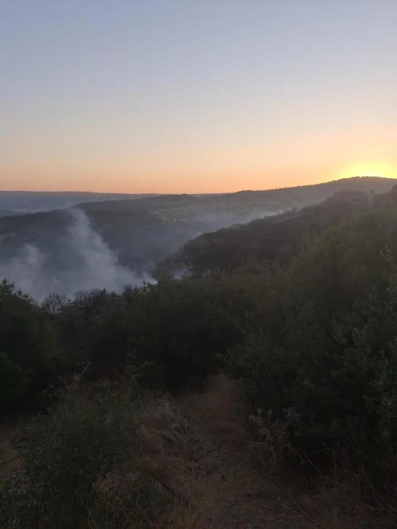 Manisa Köprübaşı’nda orman yangınına havadan ve karadan müdahale ediliyor