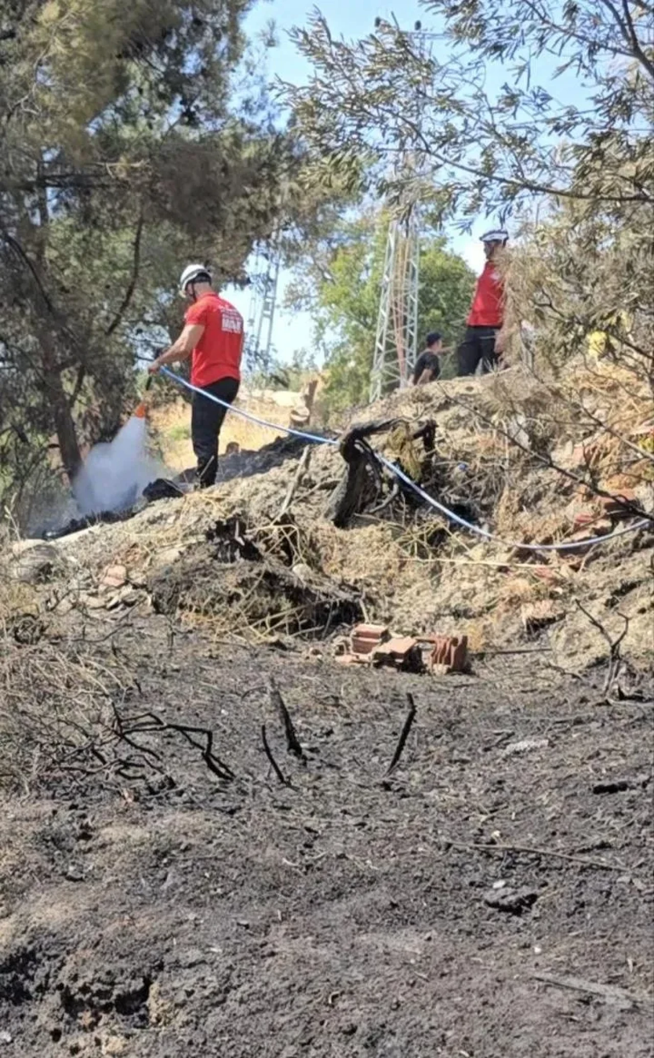 Mudanya’da elektrik direklerinden çıkan yangın kontrol altına alındı
