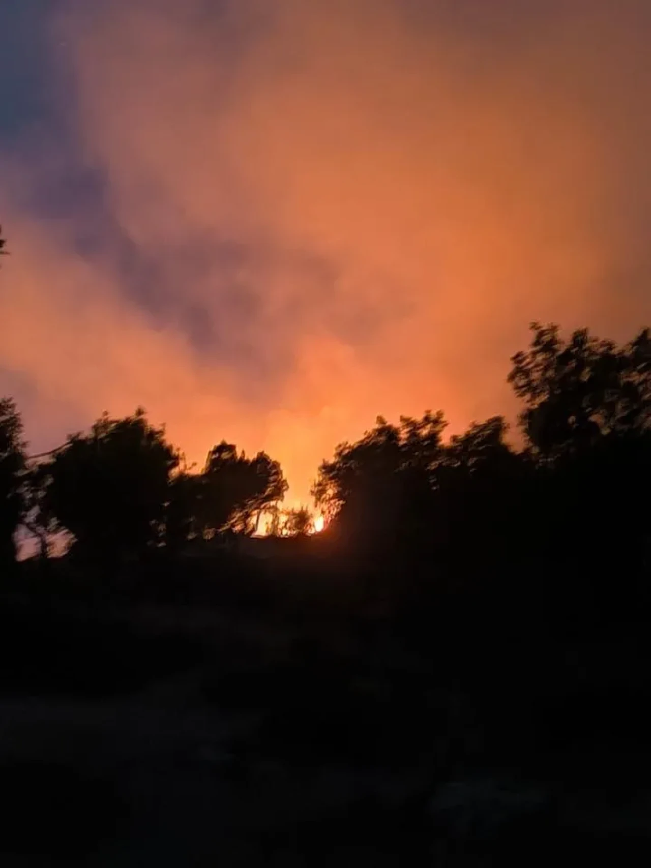 Diyarbakır'ın Lice ilçesinde ormanlık alanda çıkan yangın söndürüldü