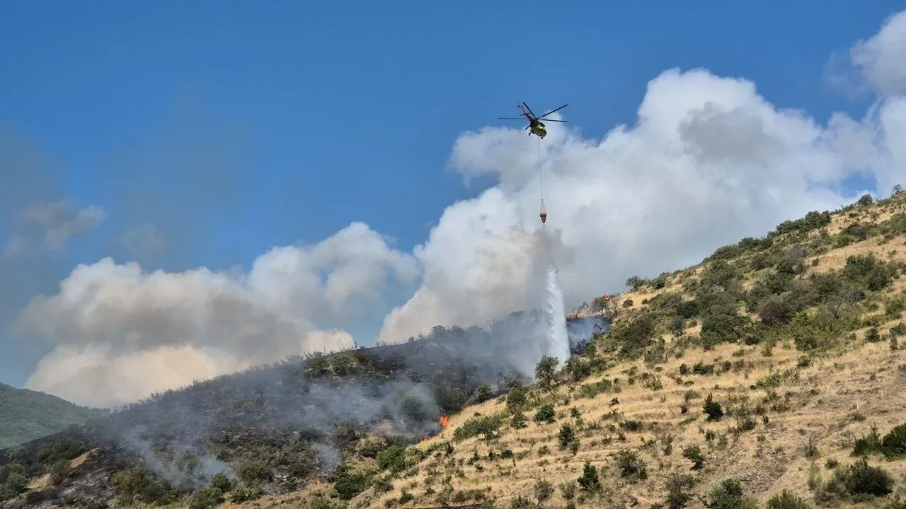 Tekirdağ Şarköy'de makilik alanda çıkan yangına havadan ve karadan müdahale