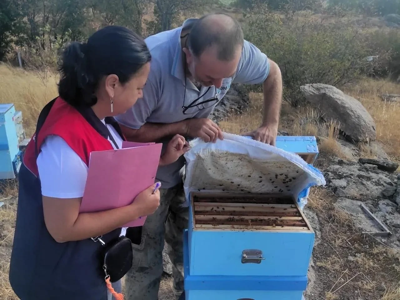 Pınarhisar'da arılı kovan tespit çalışmaları devam ediyor