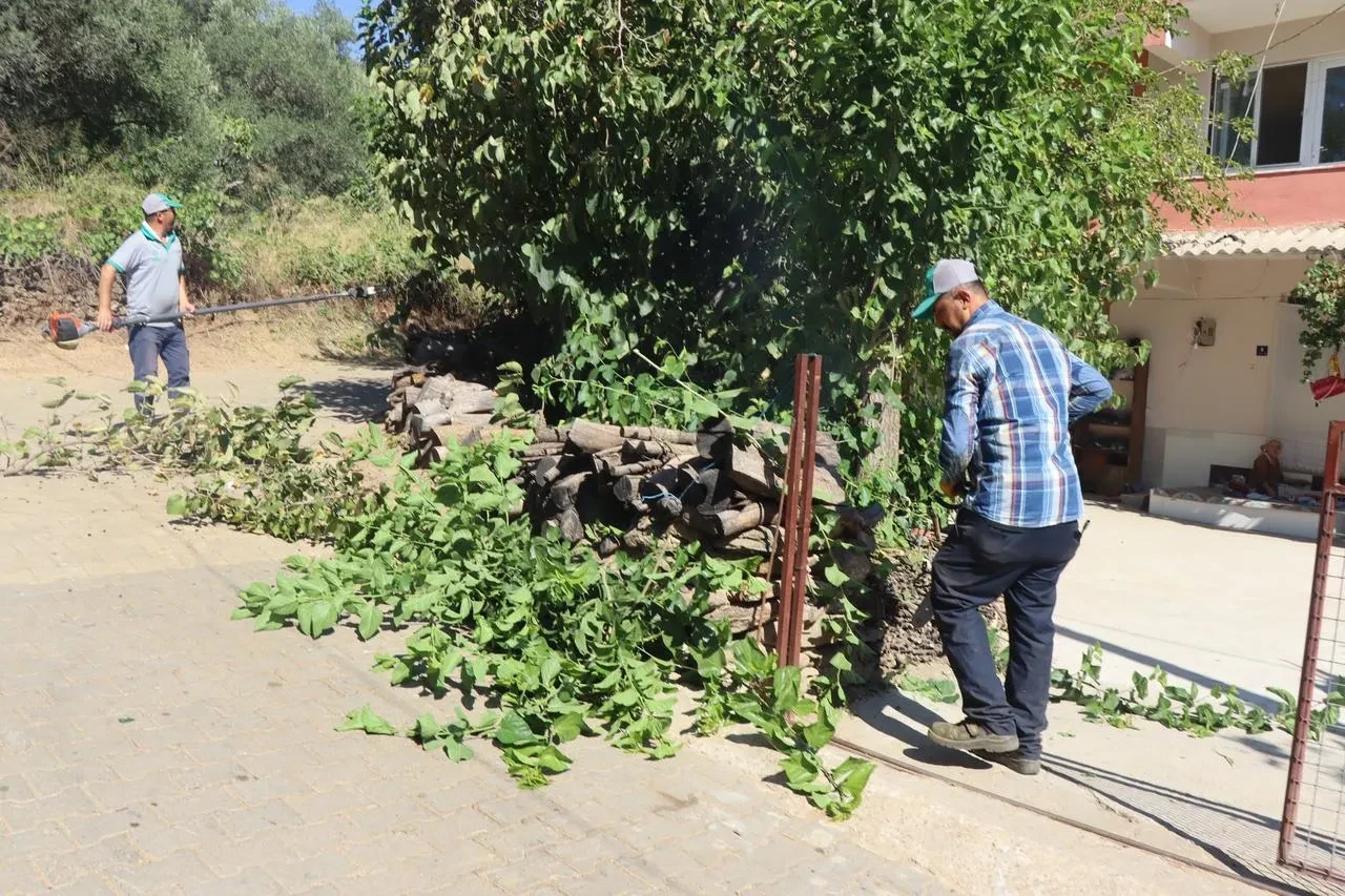 Nazilli Belediyesi Hisarcık'ta temizlik ve ot biçme çalışması yaptı