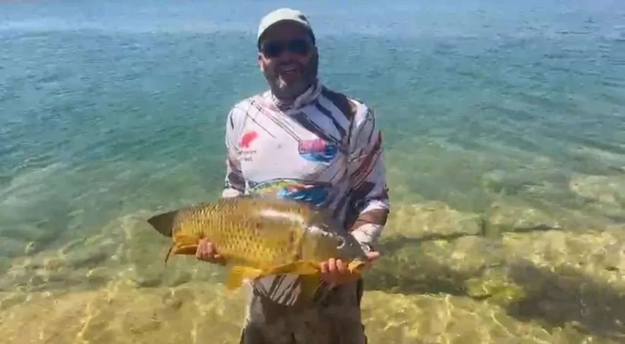 Murat Şimşek Keban Barajı'ndan yakaladığı dev sazanı doğaya geri bıraktı