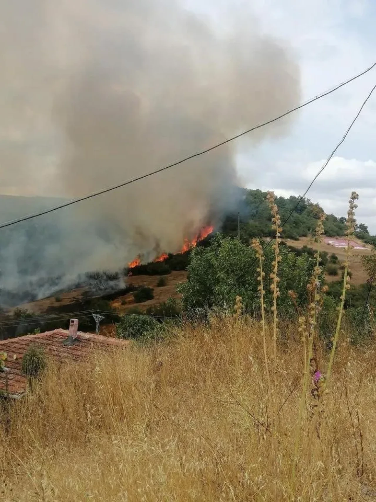 Gönen'de çıkan yangın 5 dönüm araziye zarar verdi